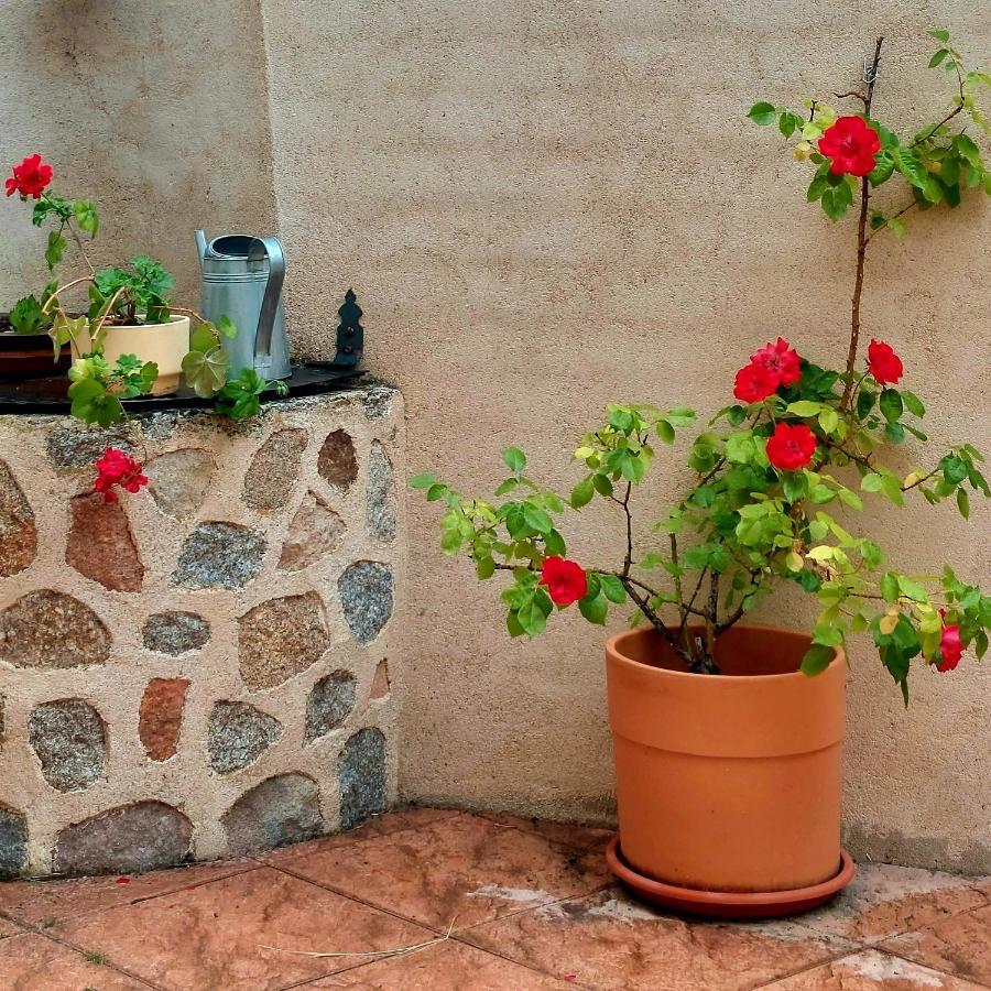 Casa Rural Abuela Reme El Fresno Ngoại thất bức ảnh