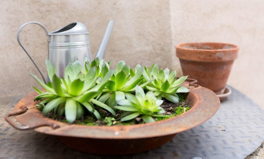 Casa Rural Abuela Reme El Fresno Ngoại thất bức ảnh